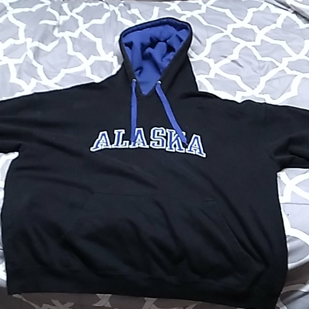 Artic circle hoodie